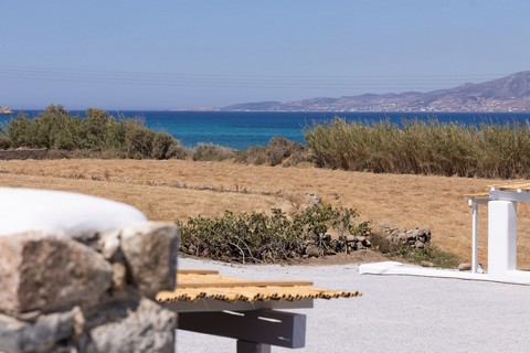 Archon Naxos